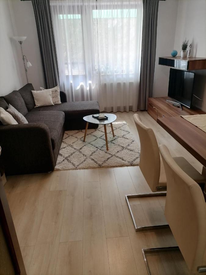 Joy Apartman Lägenhet Sovata Exteriör bild